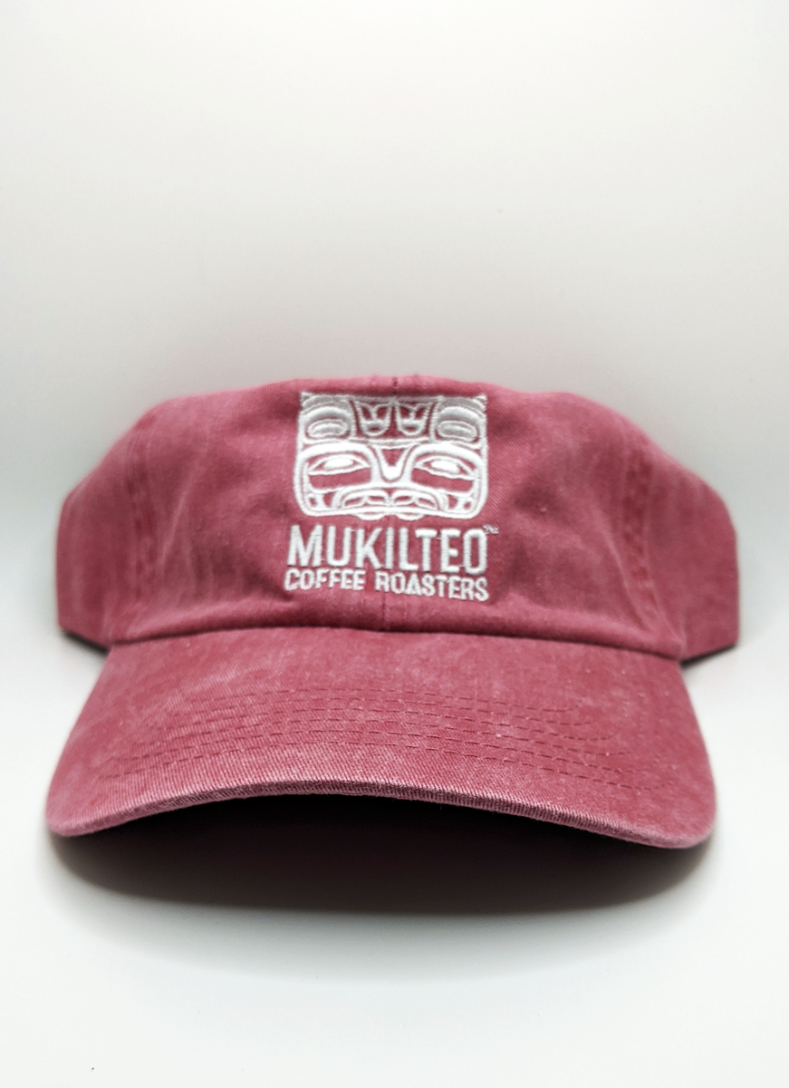 帽子 Washed 'A' Logo Hat 71stXLImWIL._AC_SY350_QL65_.jpg